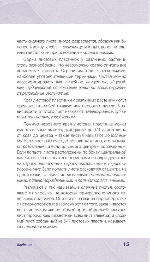 Rośliny lecznicze. Ilustrowany przewodnik-rozpoznawacz
