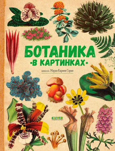 Botanika w obrazkach