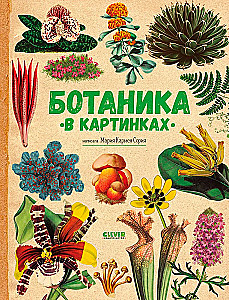Botanika w obrazkach