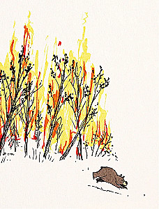 Dalai Lama and the Giant Panda. Walks on Earth