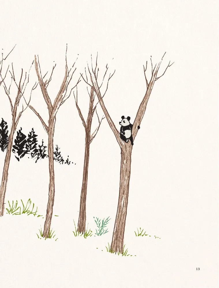 Dalai Lama and the Giant Panda. Walks on Earth
