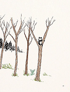 Dalai Lama and the Giant Panda. Walks on Earth