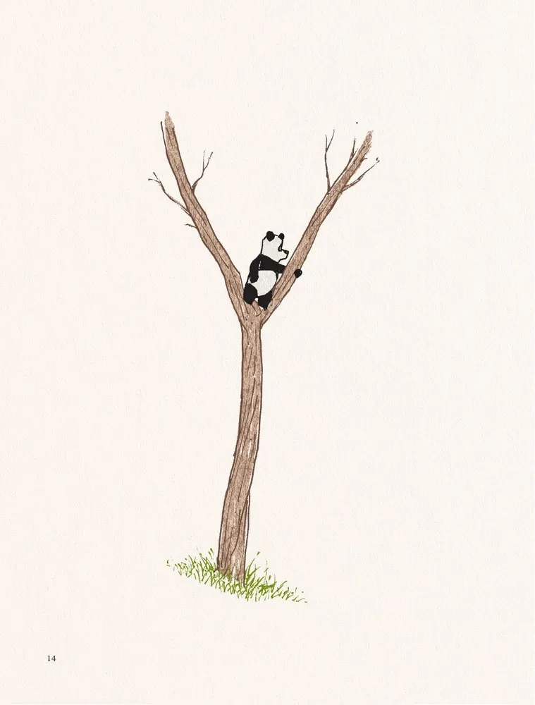 Dalai Lama and the Giant Panda. Walks on Earth