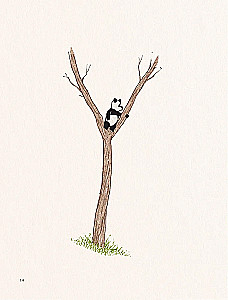 Dalai Lama and the Giant Panda. Walks on Earth