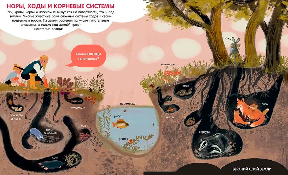 Świat wokół. Encyklopedia w obrazkach