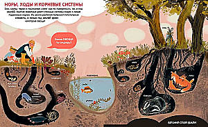 Świat wokół. Encyklopedia w obrazkach