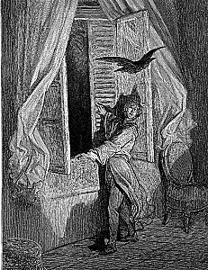 The Raven. A Cultural History