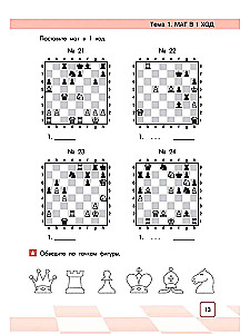 Treasures of Chessland. The Power of Pieces