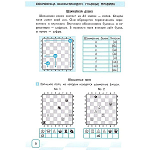 Treasures of Chessland. Main Rules