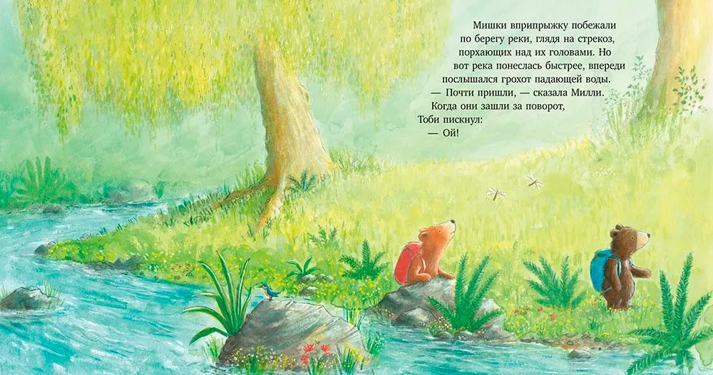 Drąsaus meškiuko paslaptis