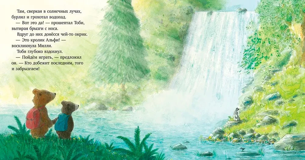 Drąsaus meškiuko paslaptis