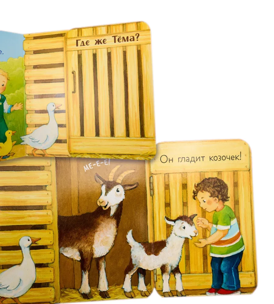 Coo-Coo! Who is at the Zoo? A Pop-Up Book