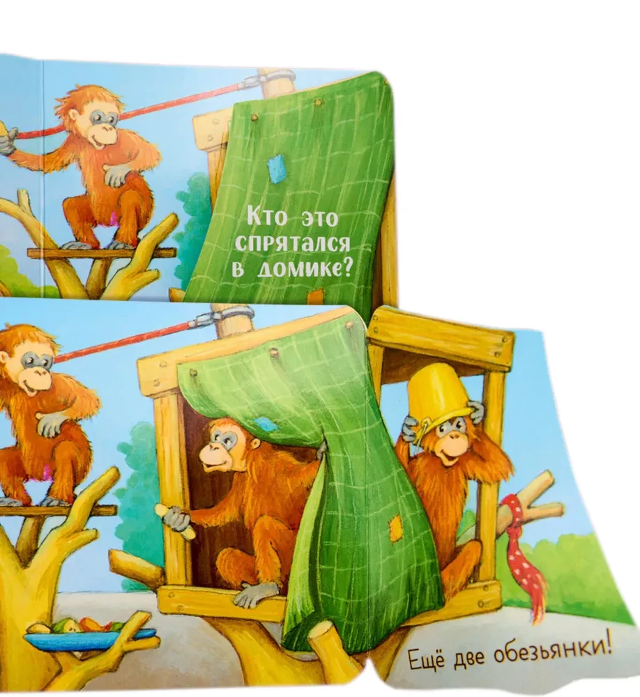 Coo-Coo! Who is at the Zoo? A Pop-Up Book