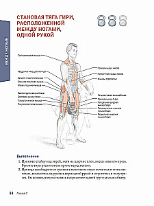 Anatomia treningów siłowych z kettlebellami