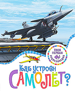 Kaip veikia lėktuvas?