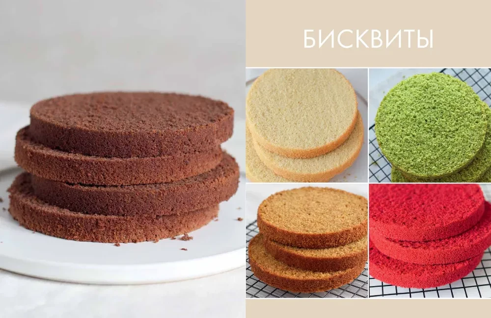 Sponge Cake from All Sides. Classics and Unusual Pastry Solutions