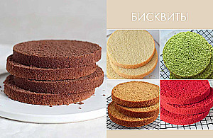 Sponge Cake from All Sides. Classics and Unusual Pastry Solutions