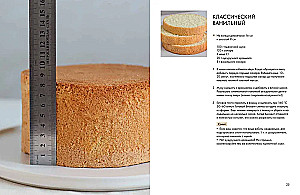 Sponge Cake from All Sides. Classics and Unusual Pastry Solutions