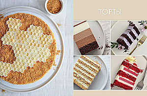 Sponge Cake from All Sides. Classics and Unusual Pastry Solutions