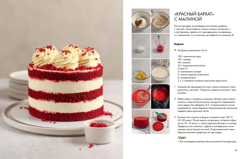 Sponge Cake from All Sides. Classics and Unusual Pastry Solutions
