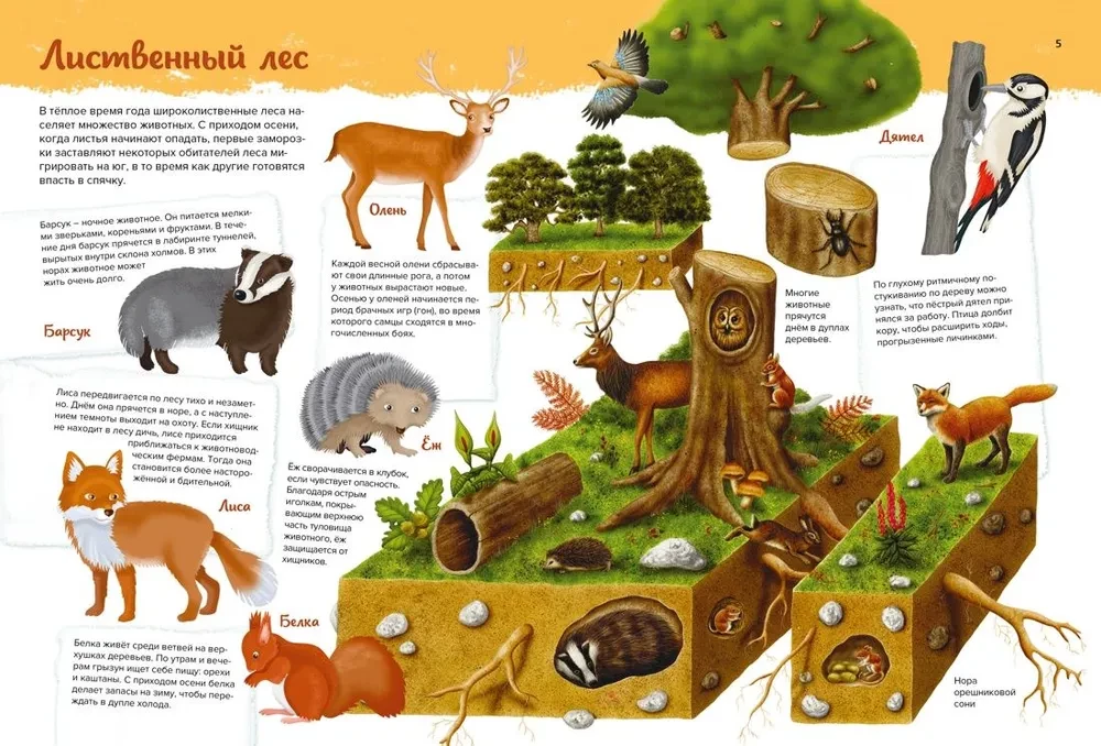 Gyvūnai. Mano pirmasis atlasas paveikslėliuose