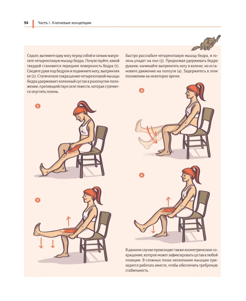 Anatomia jogi prostymi słowami. Ilustrowany przewodnik po ćwiczeniach i asanach