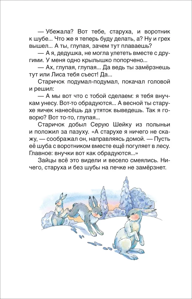 Szara Kaczka. Bajki Alionuszki