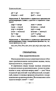 Kyrgyz Language Without a Tutor. Self-Instruction Guide to the Kyrgyz Language