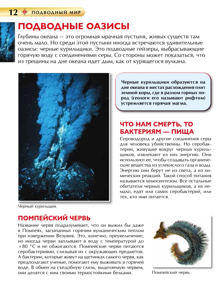 Podwodny świat. Encyklopedia dla dzieci