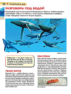 Podwodny świat. Encyklopedia dla dzieci