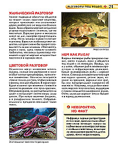 Podwodny świat. Encyklopedia dla dzieci