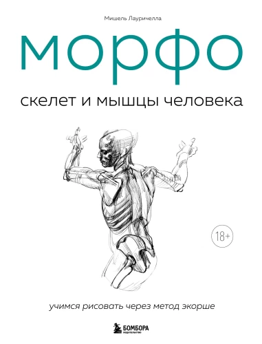 MORPHO. Skelett und Muskeln des Menschen. Anatomie für Künstler