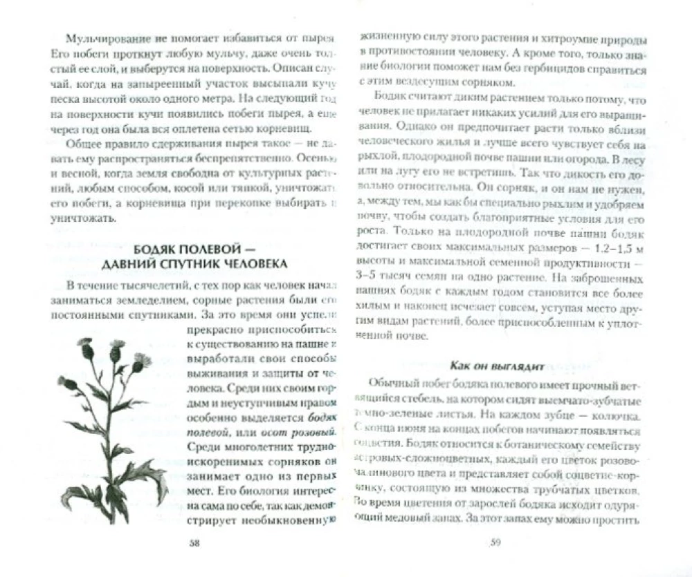 Piktžolės sode. Biologija, nauda, kontrolė