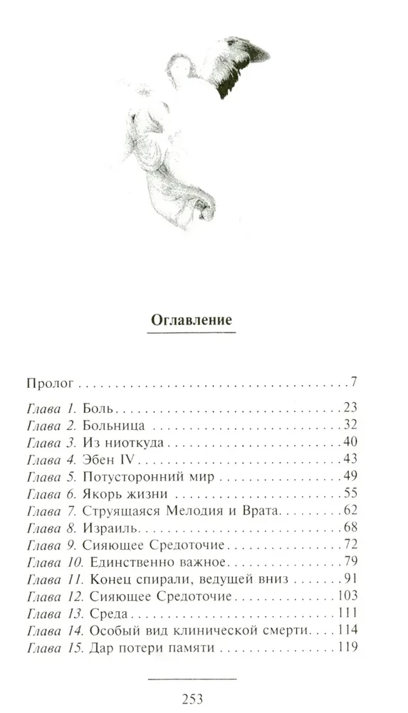 Доказательство Рая. Реальный опыт нейрохирурга