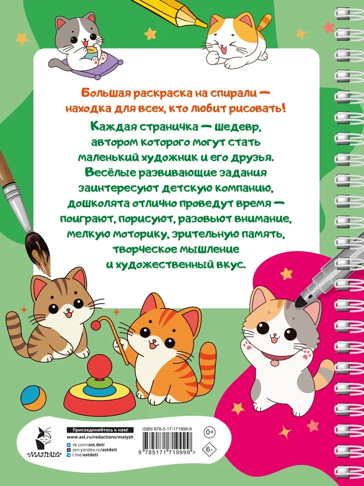 100 mielų katinėlių. Didelė spalvinimo knyga