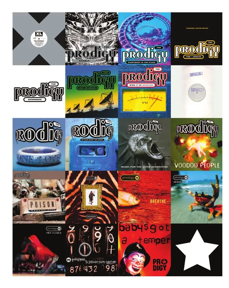 The Prodigy. We Live the Rhythm. The Story of the Band in Their Own Words