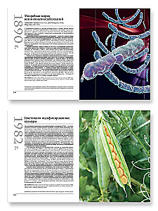 The Great Biology. From the Origin of Life to Epigenetics. 250 Key Milestones in the History of Biology