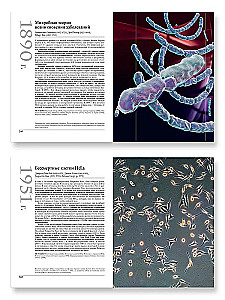 The Great Biology. From the Origin of Life to Epigenetics. 250 Key Milestones in the History of Biology