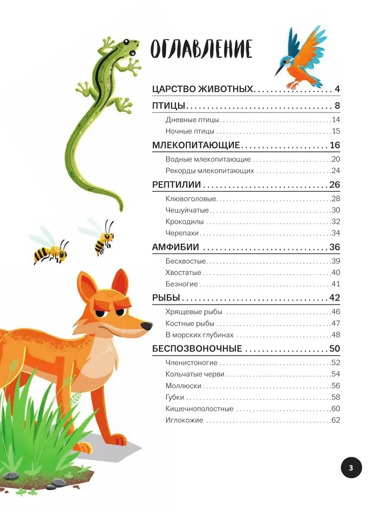 Was? Wie? Warum? Mein erste Kenntnisse über TIERE