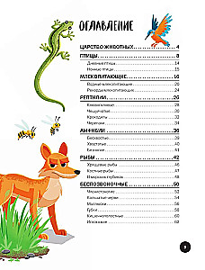 Was? Wie? Warum? Mein erste Kenntnisse über TIERE