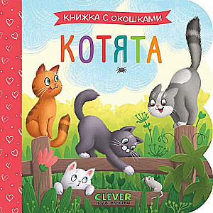 Książka z okienkami. Kocięta