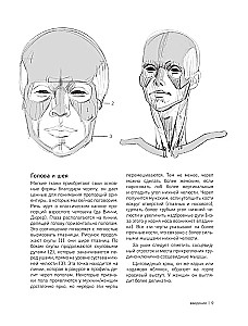 MORPHO. Skelett und Muskeln des Menschen. Anatomie für Künstler