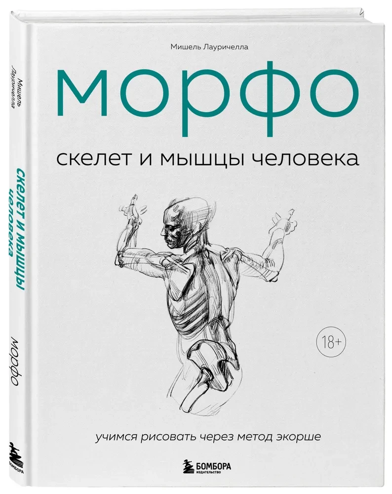 MORPHO. Skelett und Muskeln des Menschen. Anatomie für Künstler