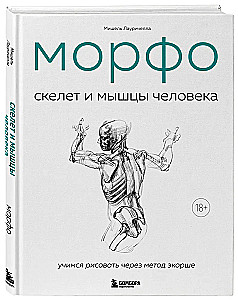 MORPHO. Skelett und Muskeln des Menschen. Anatomie für Künstler