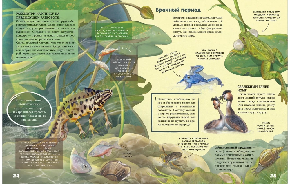 Sekrety zwierząt jeziora