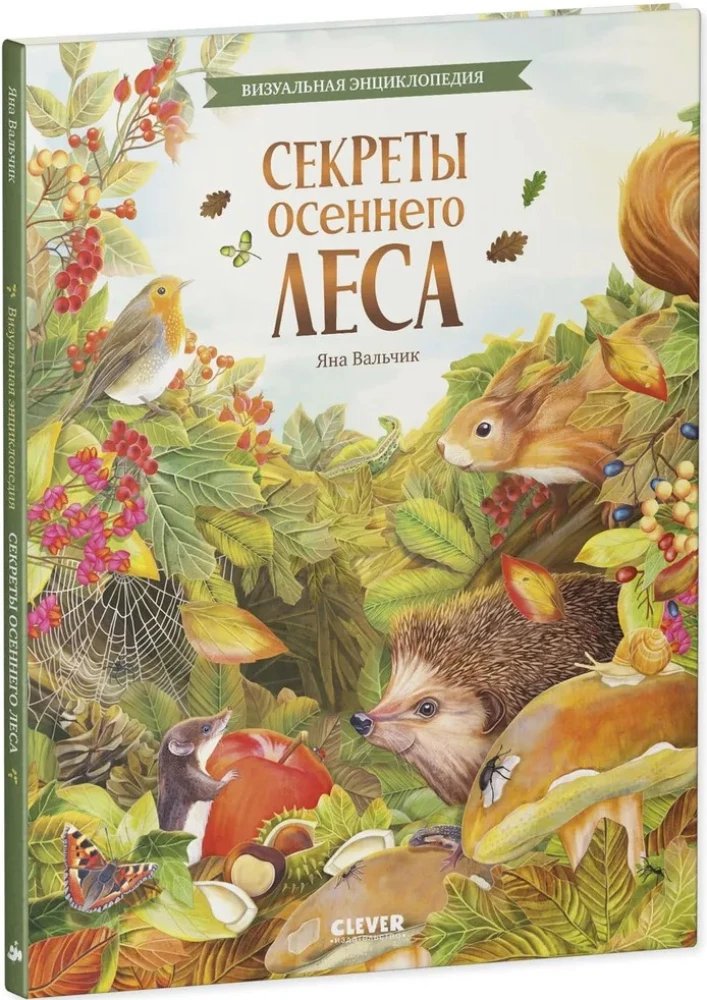 Cudowne encyklopedie. Sekrety jesiennego lasu. Encyklopedia wizualna