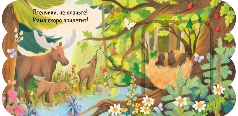 The Book with Windows. The Forest