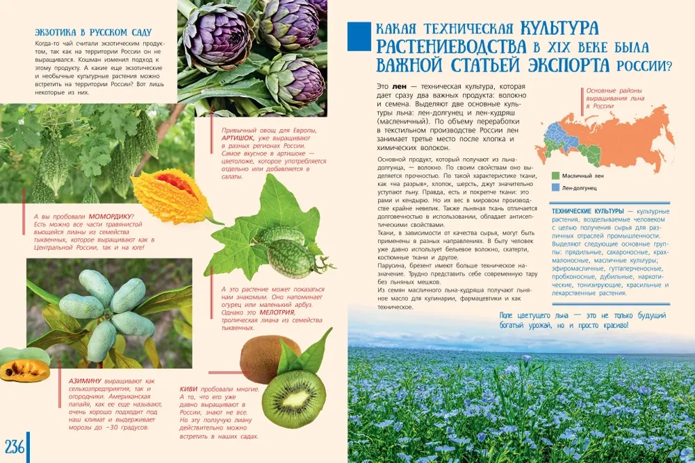 100 Fragen zur Geographie Russlands, die jeder wissen sollte