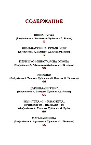 Die Froschkönigin. Russische Volksmärchen