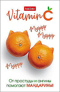 Блокнот в клетку, 48 листов - Vitamin C, в ассортименте